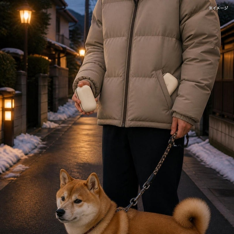 夜の散歩に(イメージ)